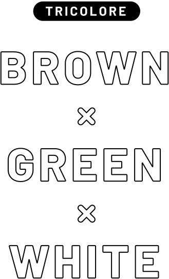[TRICOLORE] BROWN × GREEN × WHITE