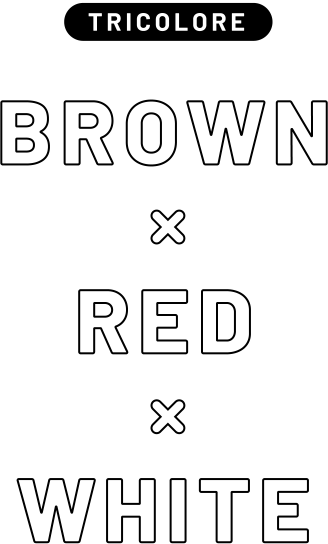 [TRICOLORE] BROWN × RED × WHITE
