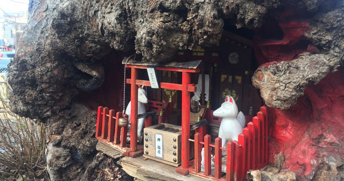 樹のくぼみに小さな祠も 良い気に満ちた埼玉の桶川稲荷神社 旅の途中の神様訪問 カルチャー カルチャー ライフ Fudge Jp