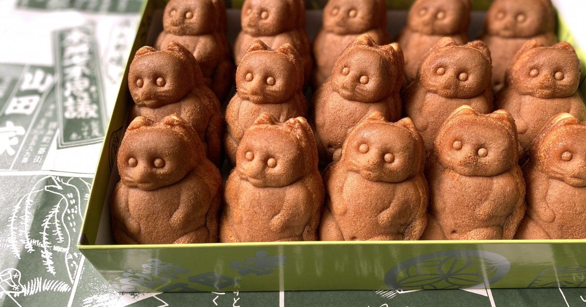 写真に撮りたくなる！こだわり尽くしの山田屋のたぬきの人形焼き
