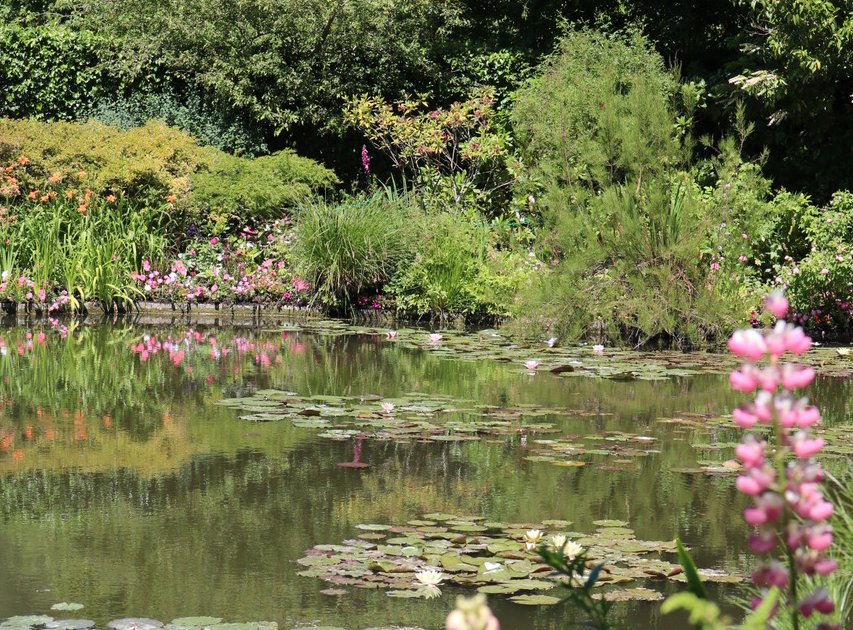 モネのパレット、ジヴェルニーの庭【夢見るパリ】 | コラム