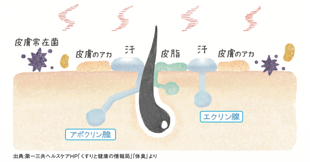 【夏のお悩み:汗のニオイ対策】汗+ 「?」 =体臭。汗とニオイの深い関係 | FUDGE.jp