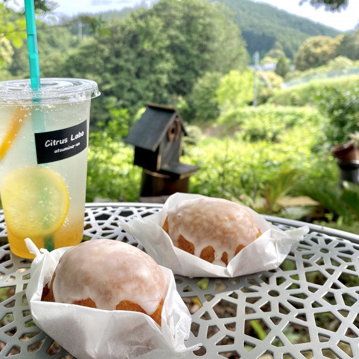 この夏食べたい静岡県「渥美農園」の絶品！こだわりレモンいっぱいのレモンケーキ【旅するデザイナーがおすすめする旅先でのお土産たち！】