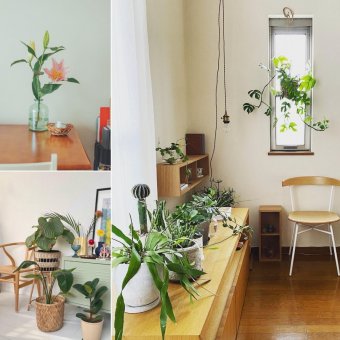 狭くても植物との暮らしを楽しむ。30㎡以下でも叶う植物のある