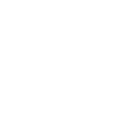 mesh pouch