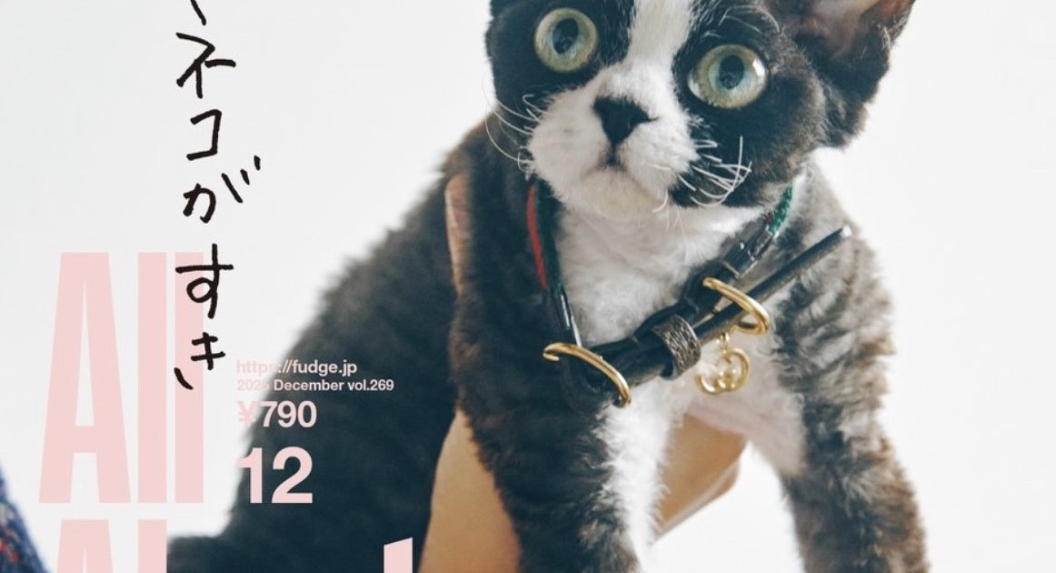 本日発売！『FUDGE』2025年12月号は『 All About Cats ネコがすき