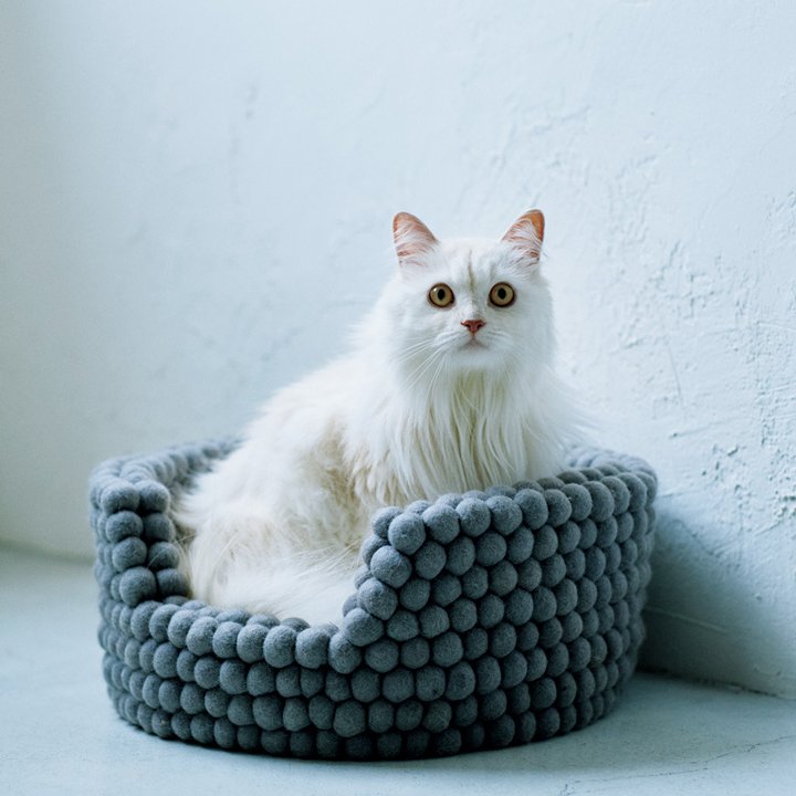 おしゃれなものが多すぎる!おしゃれもインテリアも楽しくなる猫グッズ8選