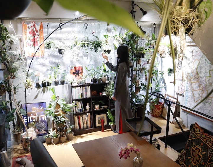 50種類以上の植物と暮らす秘密基地。一人暮らしの1LDKインテリア 【私らしく暮らす。賃貸インテリア】