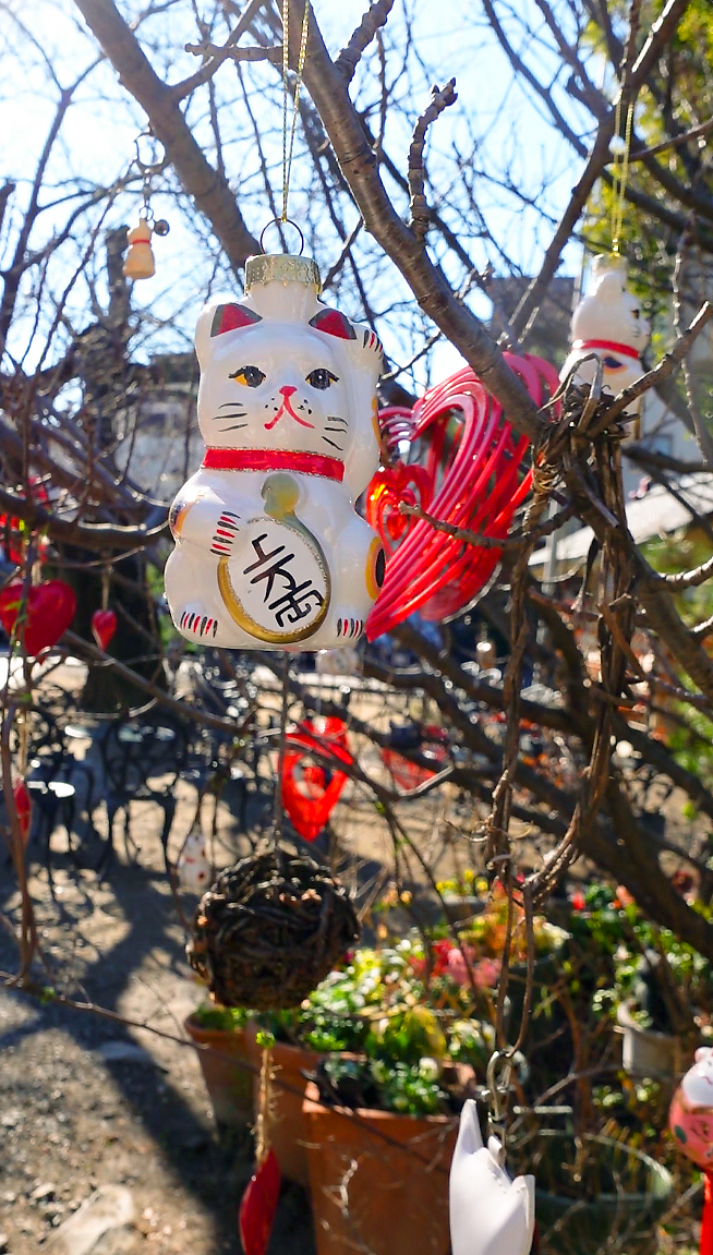 招き猫は「気に入った子」を迎え入れて、いつも感謝を