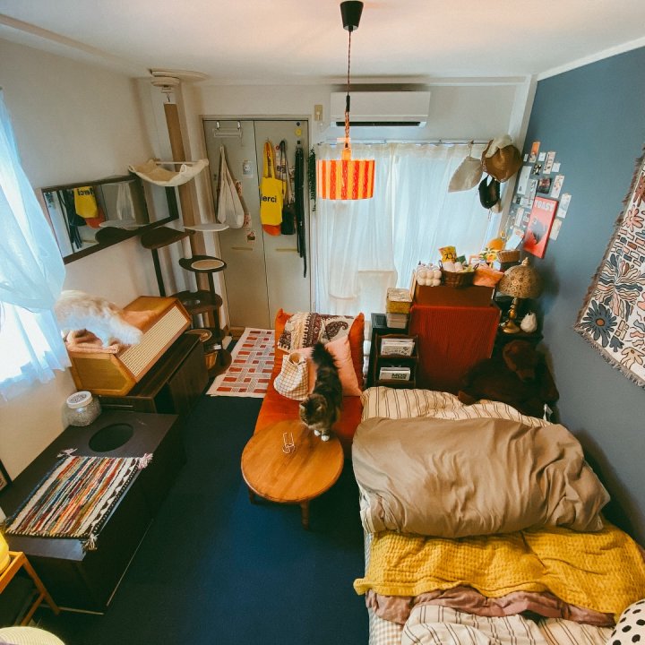 猫と暮らす小さな秘密基地。20㎡、一人暮らしの1Kインテリア 【私らしく暮らす。賃貸インテリア】