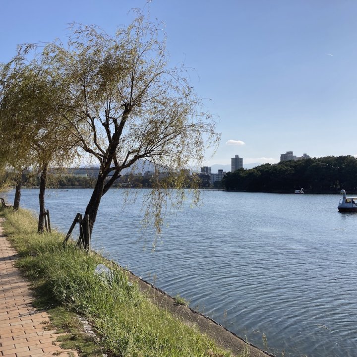 旅好きミニマリストが住んでみてよかった街「福岡・大濠公園」。フットワーク軽い自分でいられる3つの理由