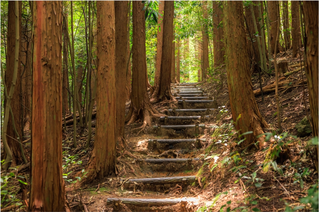 熊野古道 伊勢路(紀北町〜尾鷲市など)